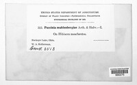 Image Associated With the Occurence